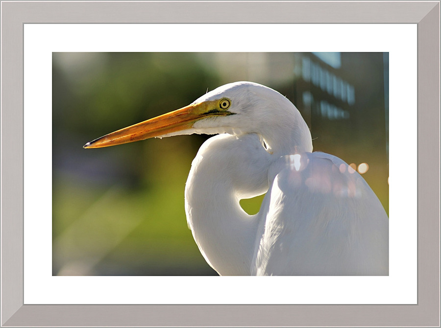 4210 Picture Frame print