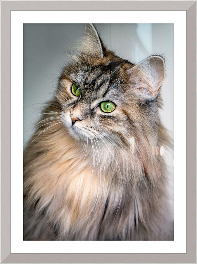 4227 Picture Frame print