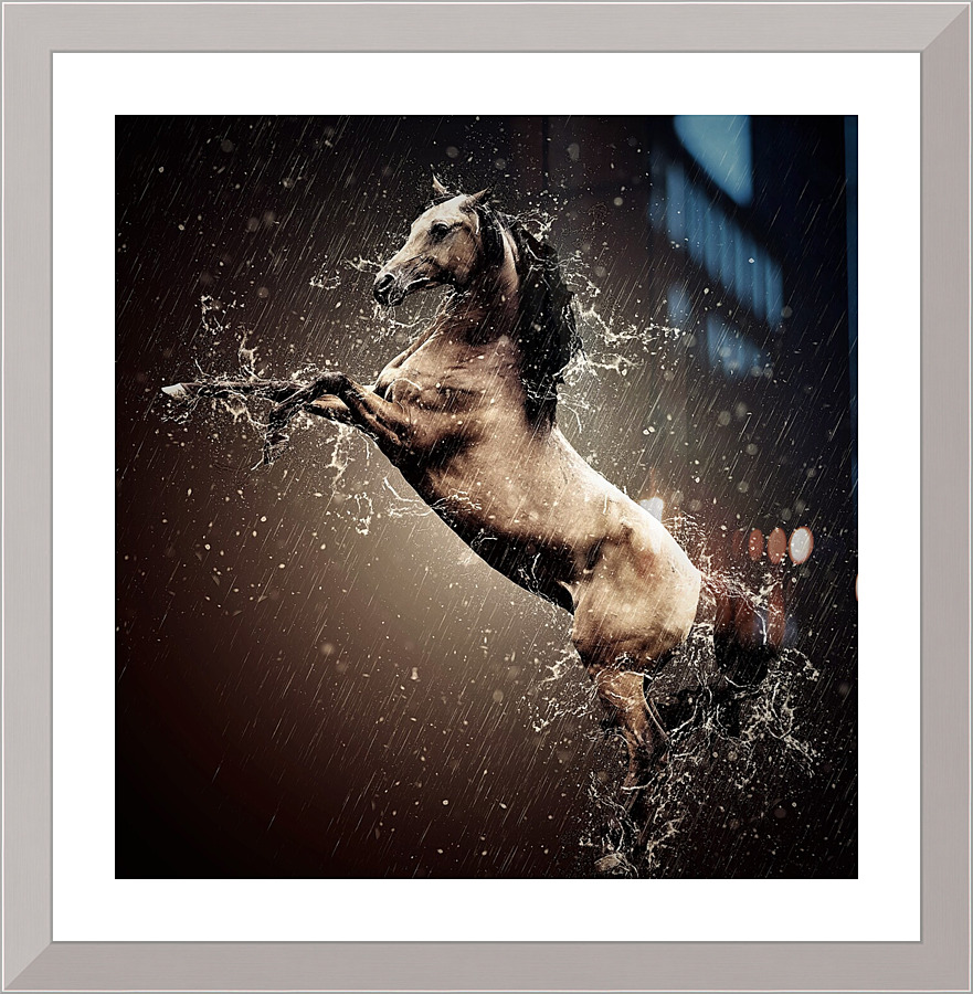 4239 Picture Frame print