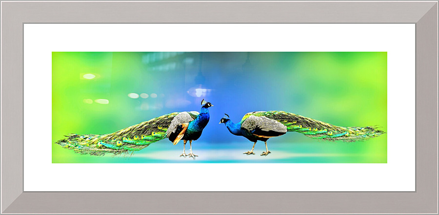4256 Picture Frame print