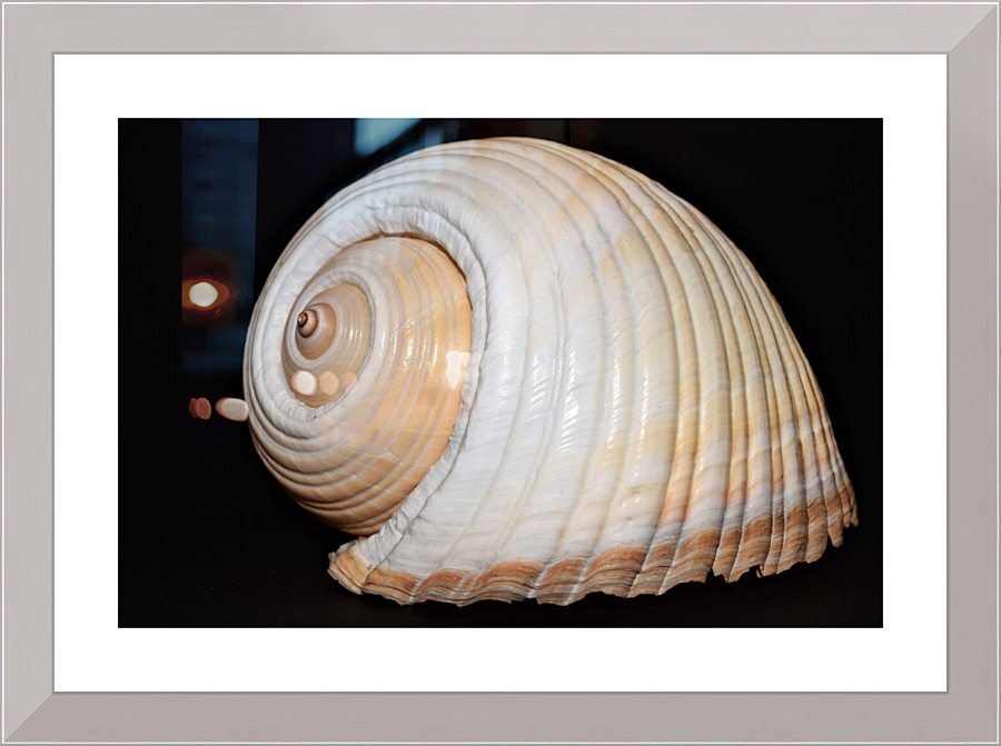 4258 Picture Frame print
