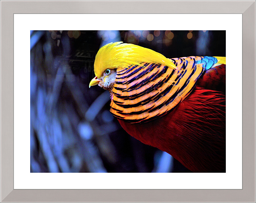 4262 Picture Frame print