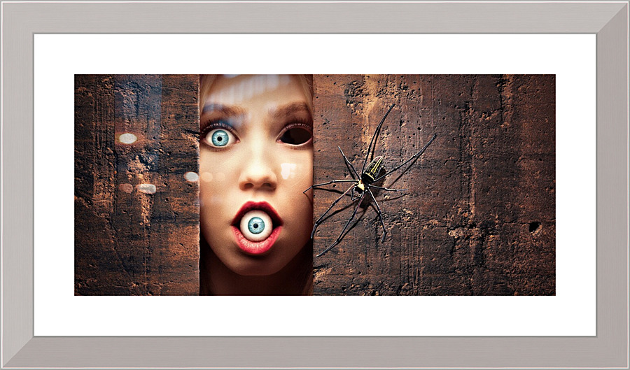 4265 Picture Frame print