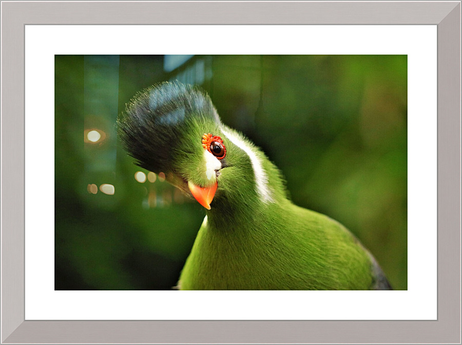 4268 Picture Frame print
