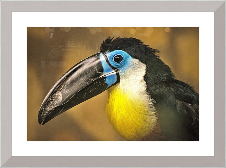 4271 Picture Frame print