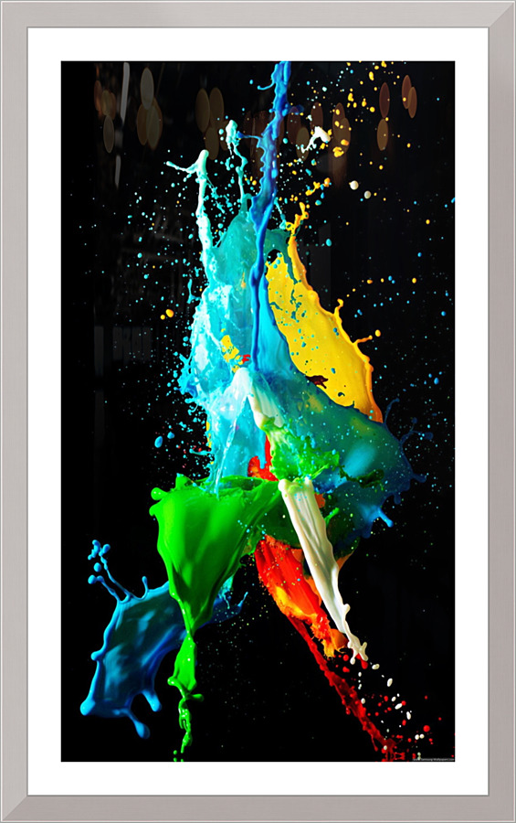 4284 Picture Frame print