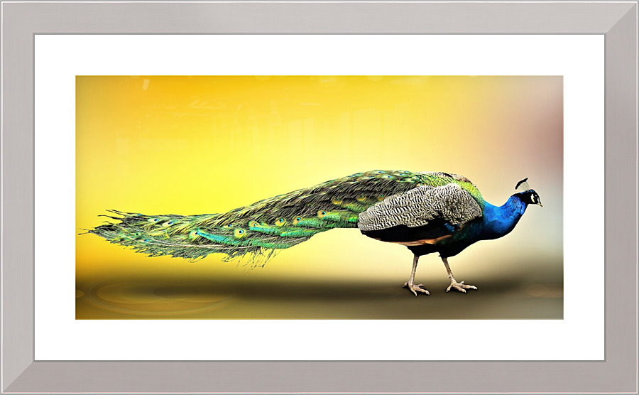 4297 Picture Frame print