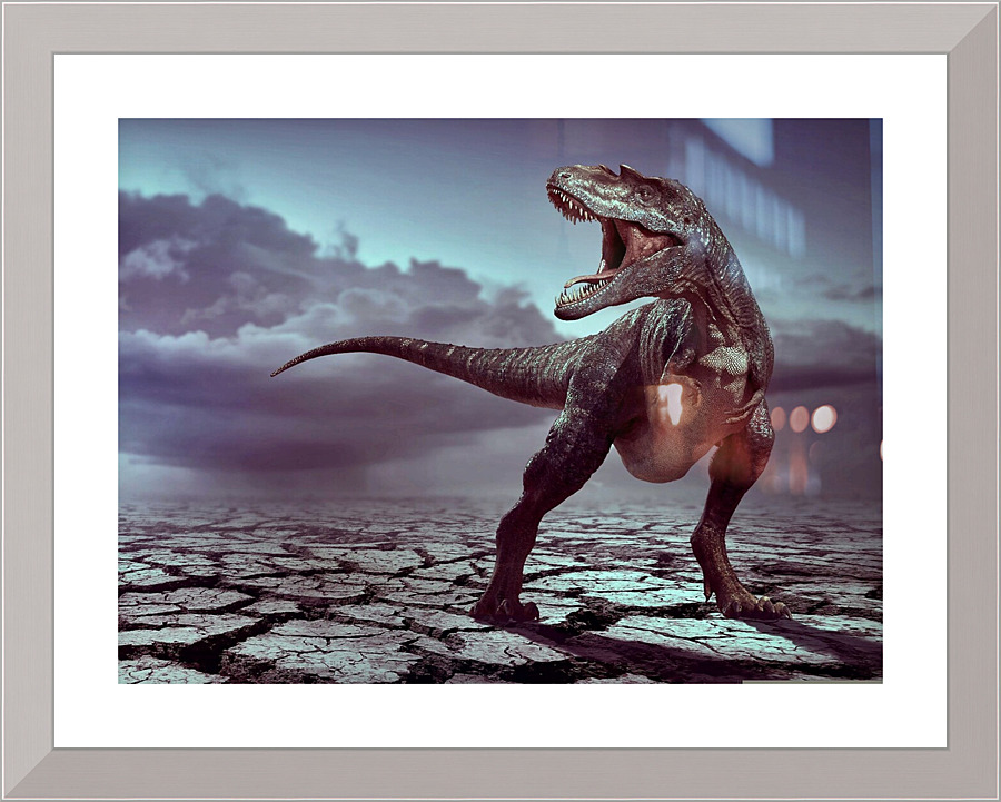 4305 Picture Frame print