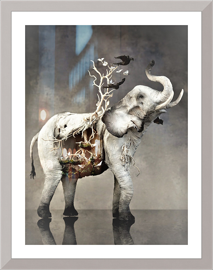 4358 Picture Frame print