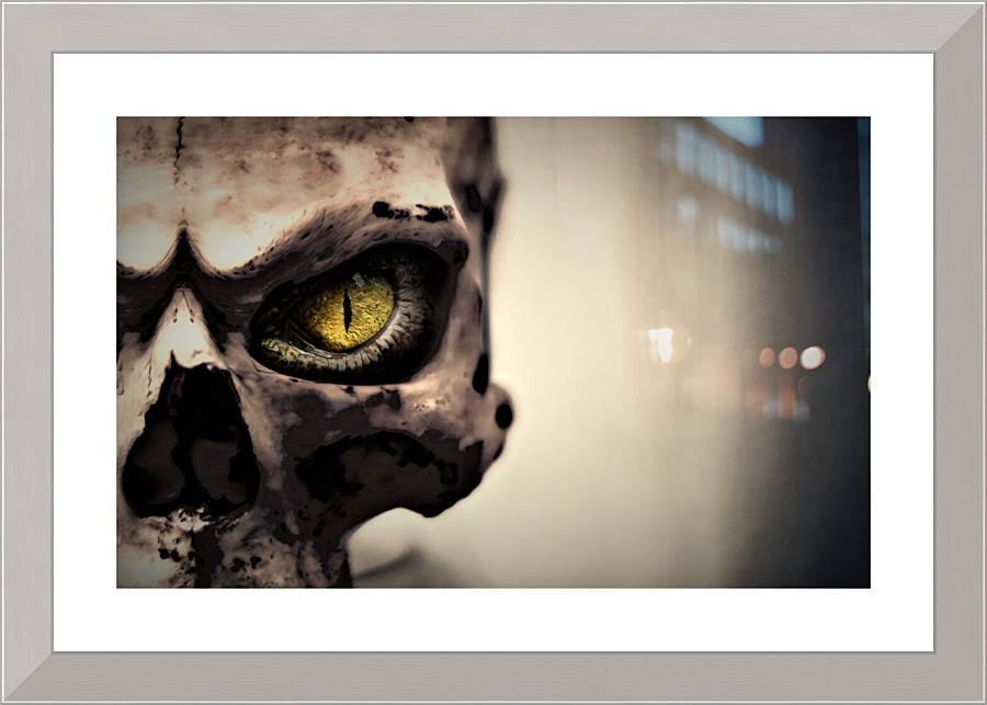 4362 Picture Frame print