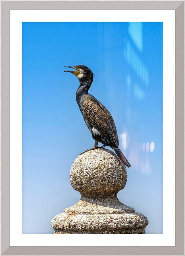 4377 Picture Frame print