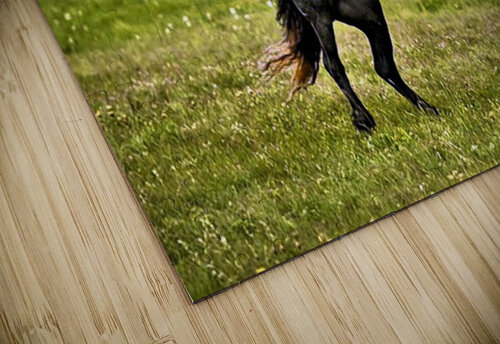 073 mohamed elabari puzzle