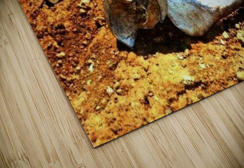 174 mohamed elabari puzzle