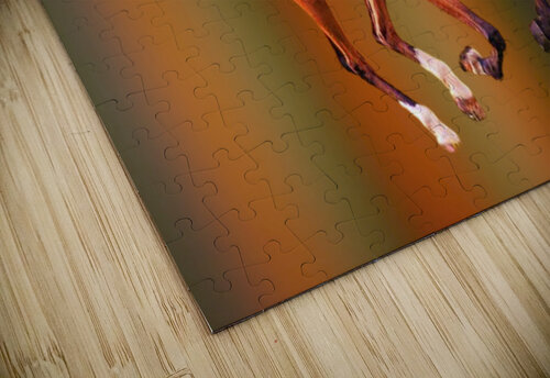 228 mohamed elabari puzzle