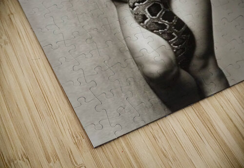 290 mohamed elabari puzzle