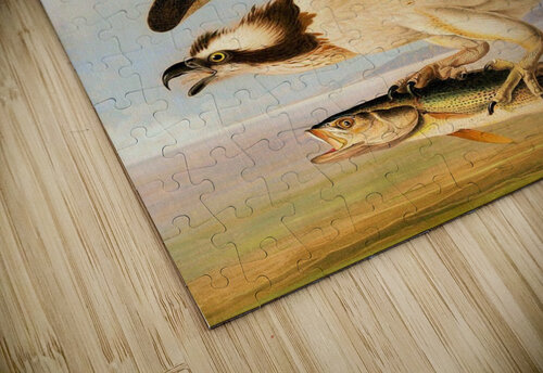 338 mohamed elabari puzzle