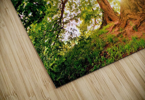 347 mohamed elabari puzzle