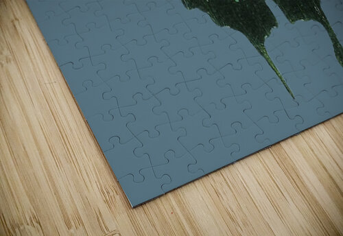 356 mohamed elabari puzzle