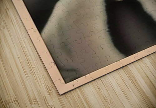 362 mohamed elabari puzzle