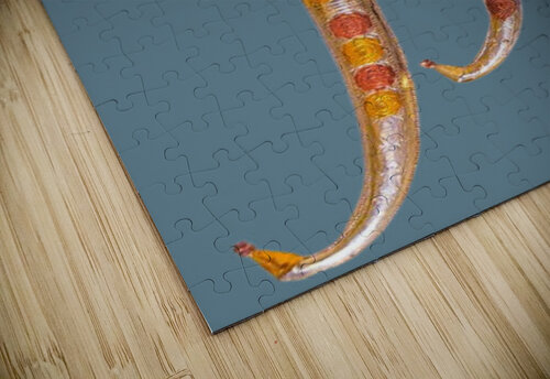 389 mohamed elabari puzzle