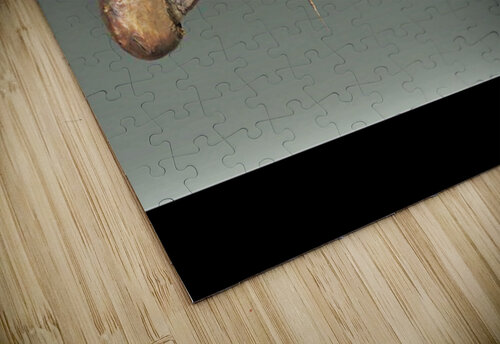 390 mohamed elabari puzzle