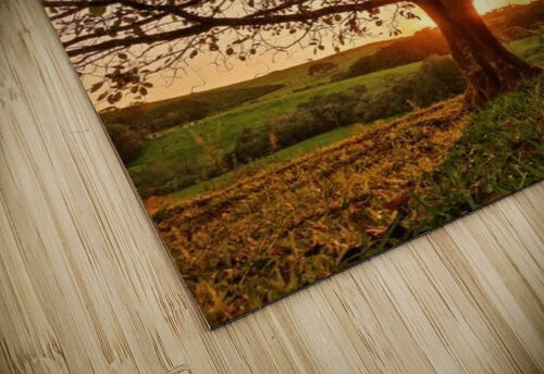 519 mohamed elabari puzzle