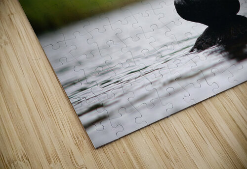 544 mohamed elabari puzzle