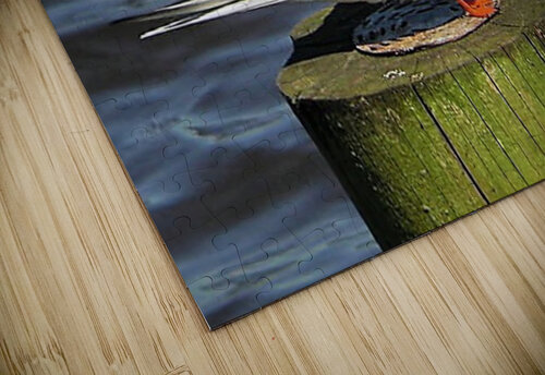 587 mohamed elabari puzzle