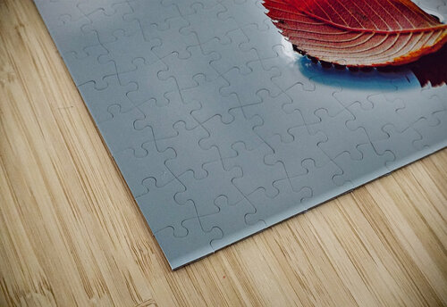 667 mohamed elabari puzzle