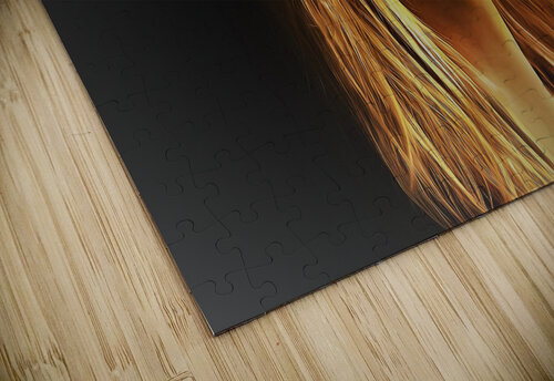 707 mohamed elabari puzzle