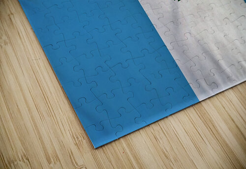 757 mohamed elabari puzzle