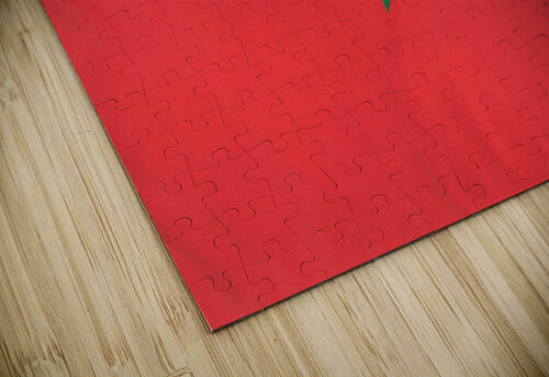 759 mohamed elabari puzzle