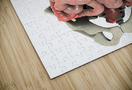 774 mohamed elabari puzzle