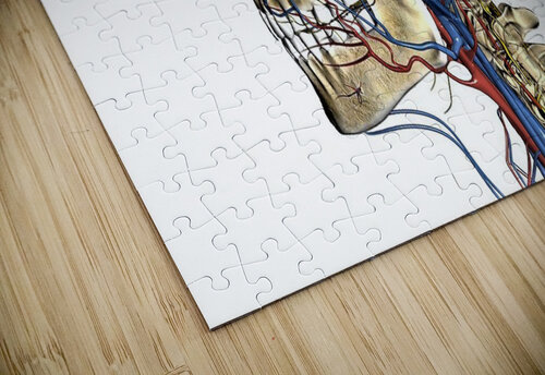 776 mohamed elabari puzzle