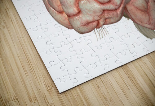 779 mohamed elabari puzzle