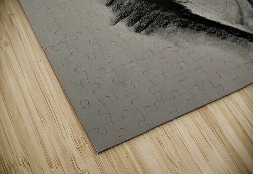 787 mohamed elabari puzzle