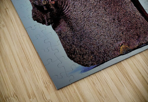 817 mohamed elabari puzzle