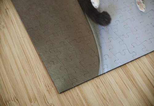 986 mohamed elabari puzzle