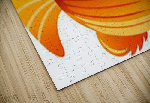 1008 mohamed elabari puzzle