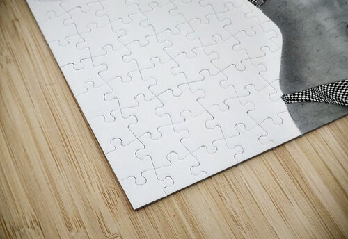 1031 mohamed elabari puzzle