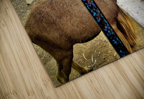 1066 mohamed elabari puzzle