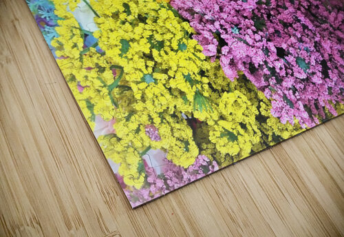 1100 mohamed elabari puzzle