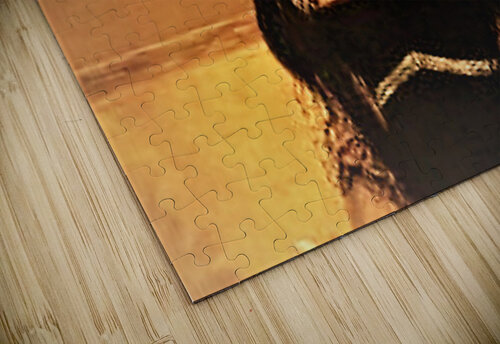 1102 mohamed elabari puzzle