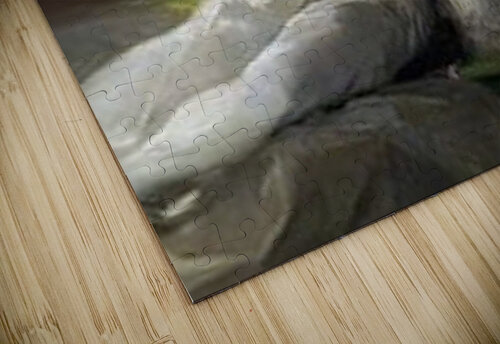 1121 mohamed elabari puzzle