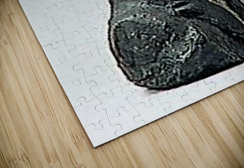 1122 mohamed elabari puzzle