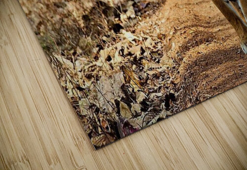 1131 mohamed elabari puzzle