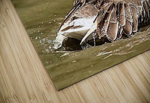 1165 mohamed elabari puzzle