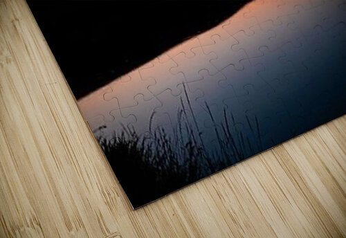 1169 mohamed elabari puzzle
