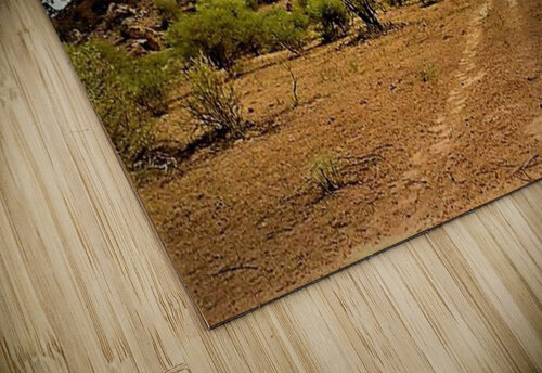 1175 mohamed elabari puzzle