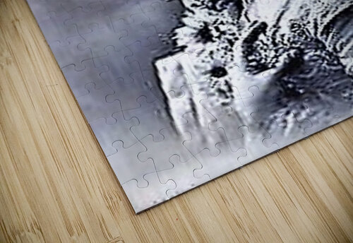 1187 mohamed elabari puzzle